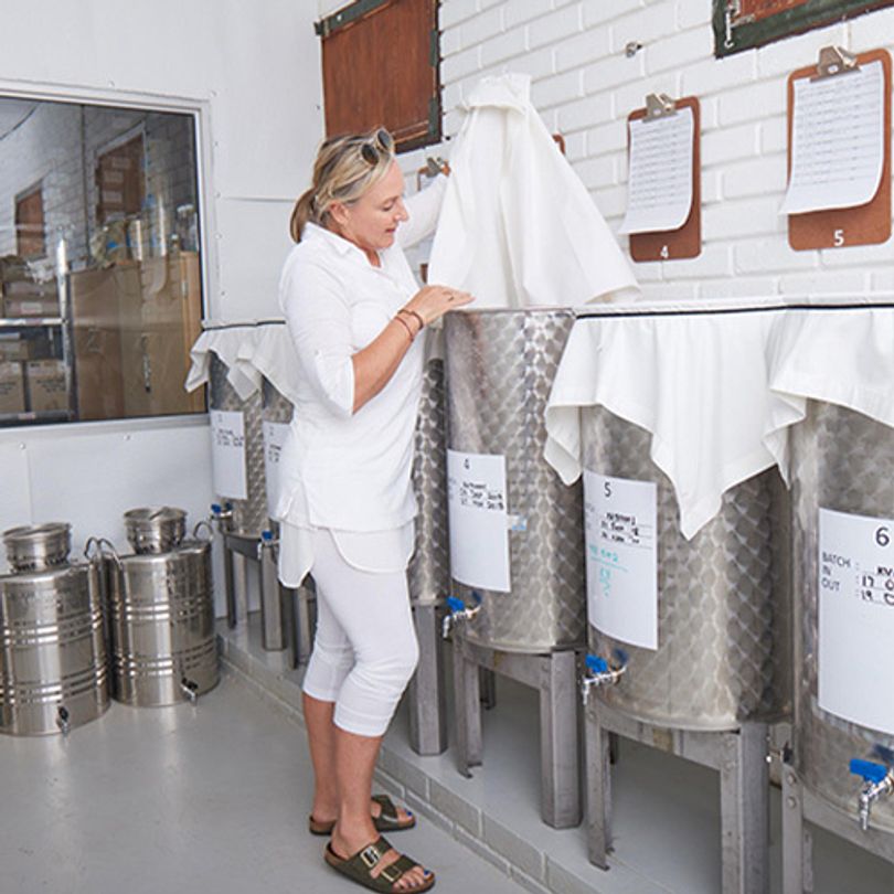 Why Gut Health & Wild Ferments Matter: